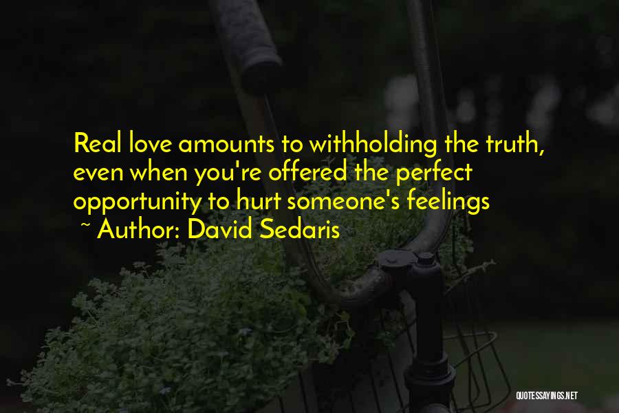 Hurt Someone Feelings Quotes By David Sedaris