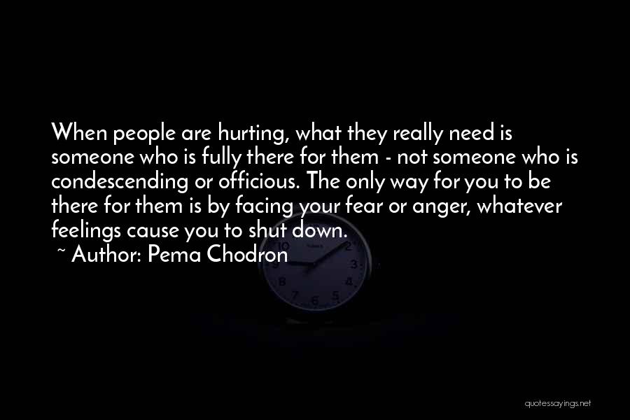 Hurt Someone Feelings Quotes By Pema Chodron