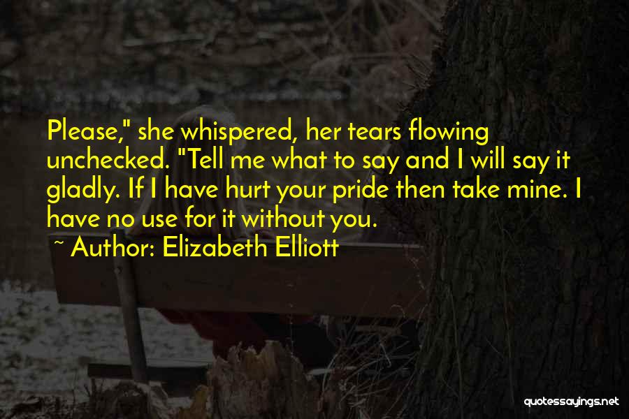 Hurt Without You Quotes By Elizabeth Elliott