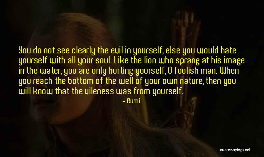 Hurt Yourself Quotes By Rumi