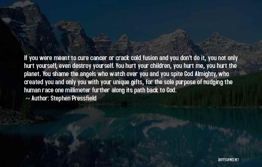 Hurt Yourself Quotes By Stephen Pressfield