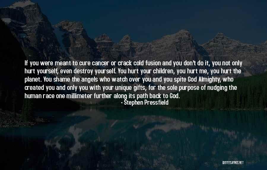 Hurt Yourself Quotes By Stephen Pressfield