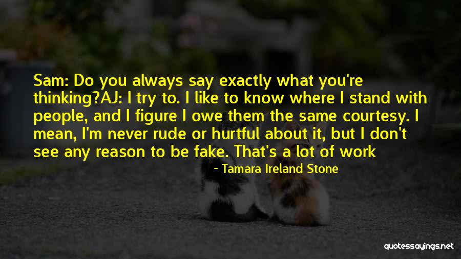 Hurtful People Quotes By Tamara Ireland Stone