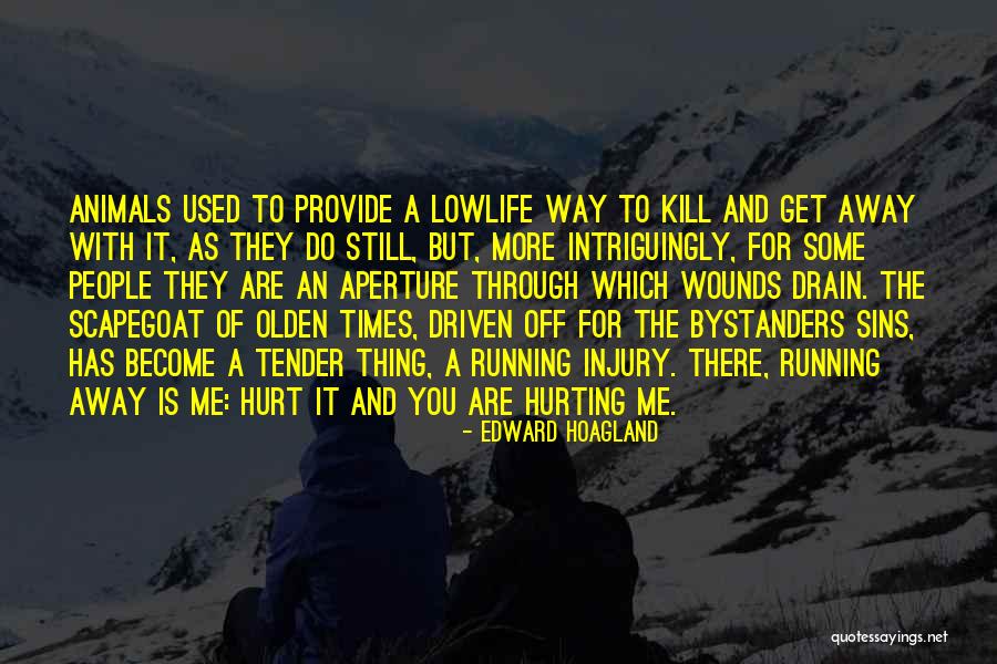 Hurting Animals Quotes By Edward Hoagland Hurting Animals Quotes By Edward Hoagland