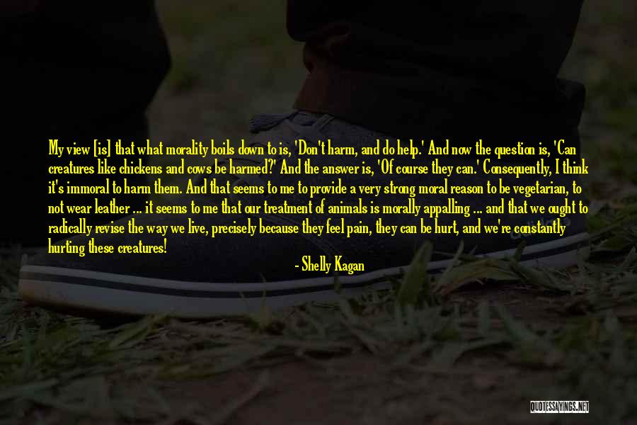 Hurting Animals Quotes By Shelly Kagan Hurting Animals Quotes By Shelly Kagan