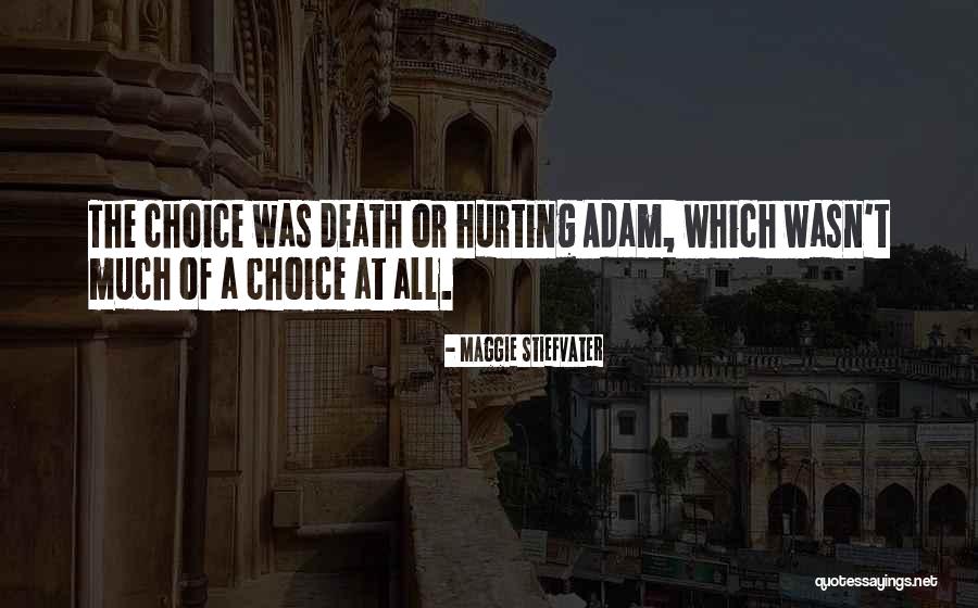 Hurting Death Quotes By Maggie Stiefvater Hurting Death Quotes By Maggie Stiefvater