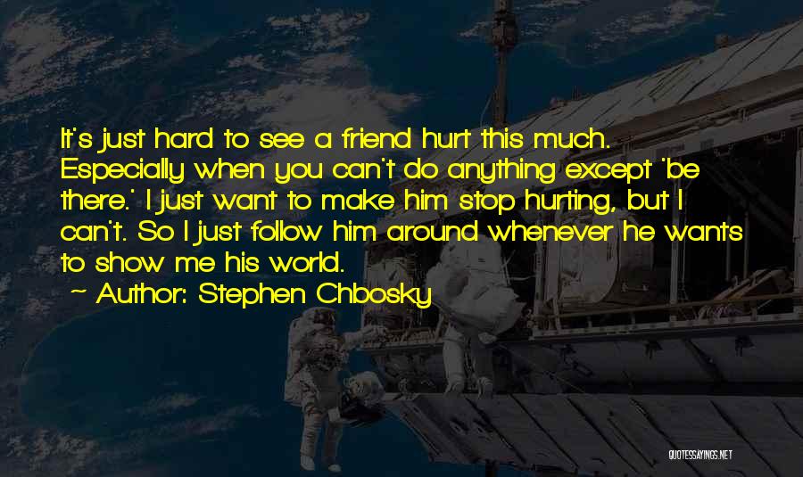 Hurting My Friend Quotes By Stephen Chbosky