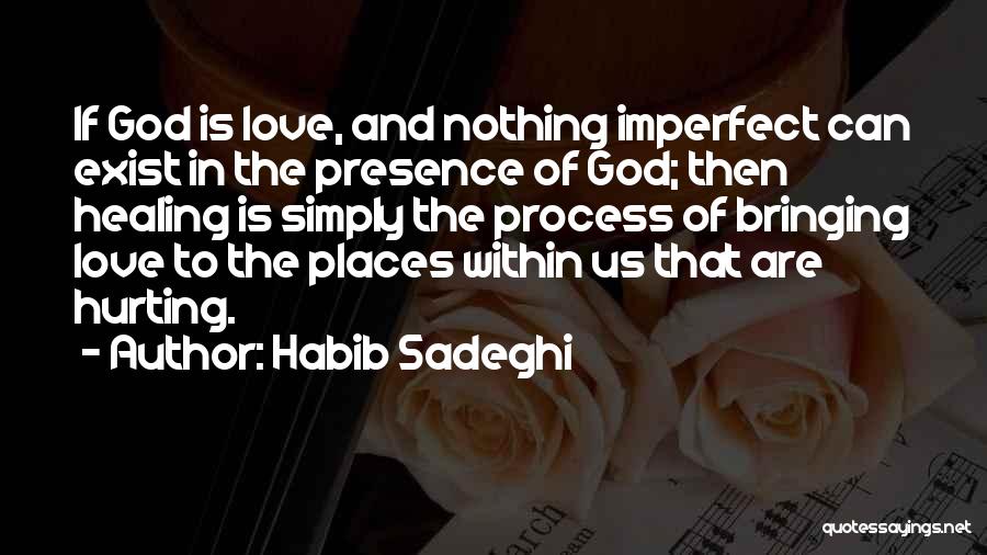 Hurting Someone You Love Quotes By Habib Sadeghi