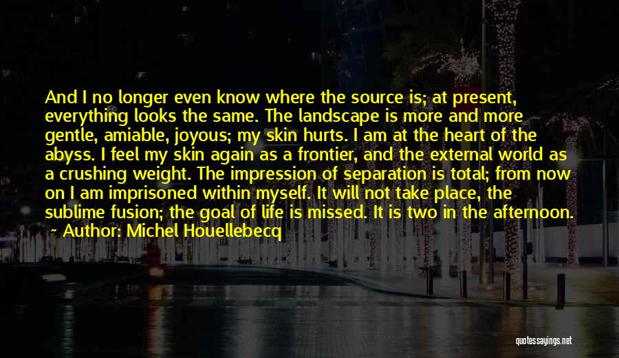 Hurts Heart Quotes By Michel Houellebecq