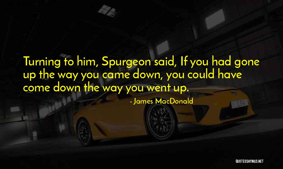 Hurunui Quotes By James MacDonald Hurunui Quotes By James MacDonald