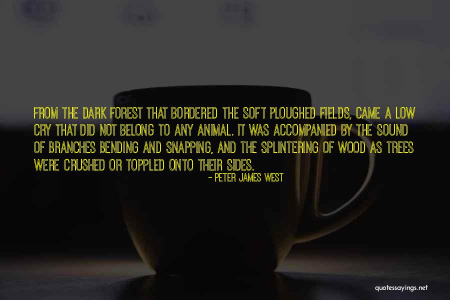Husband 50th Birthday Quotes By Peter James West Husband 50th Birthday Quotes By Peter James West