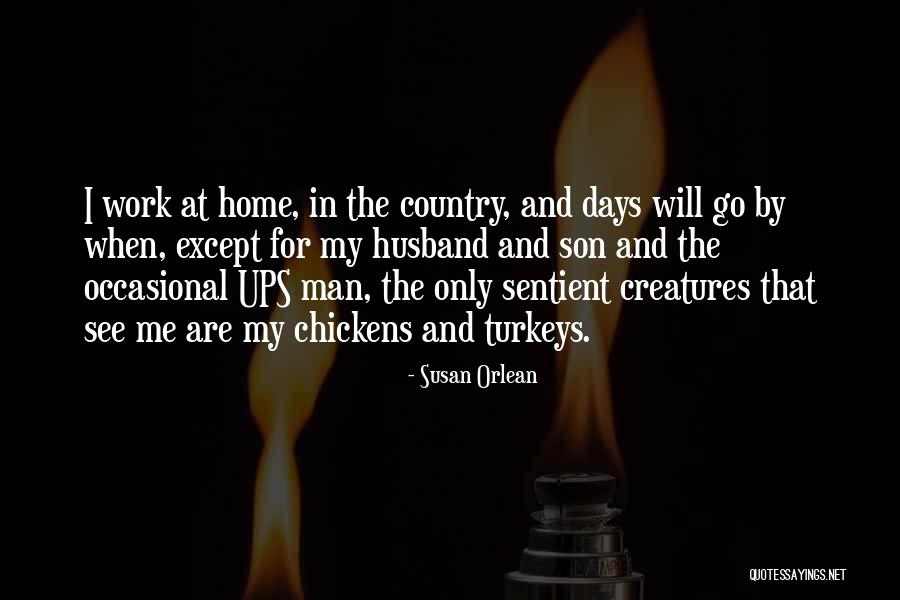 Husband And Son Quotes By Susan Orlean Husband And Son Quotes By Susan Orlean