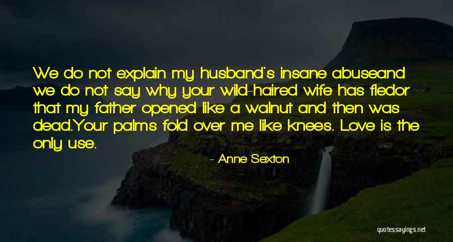 Husband Love Your Wife Quotes By Anne Sexton