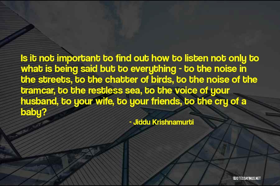 Husband Wife And Baby Quotes By Jiddu Krishnamurti