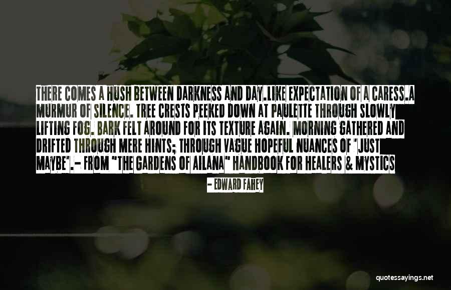 Hush Hush Quotes By Edward Fahey Hush Hush Quotes By Edward Fahey