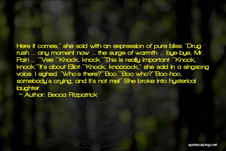 Hush Now Quotes By Becca Fitzpatrick