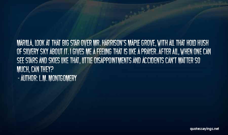 Hush Quotes By L.M. Montgomery