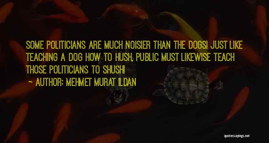 Hush Quotes By Mehmet Murat Ildan