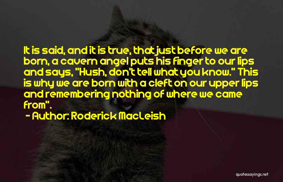 Hush Quotes By Roderick MacLeish