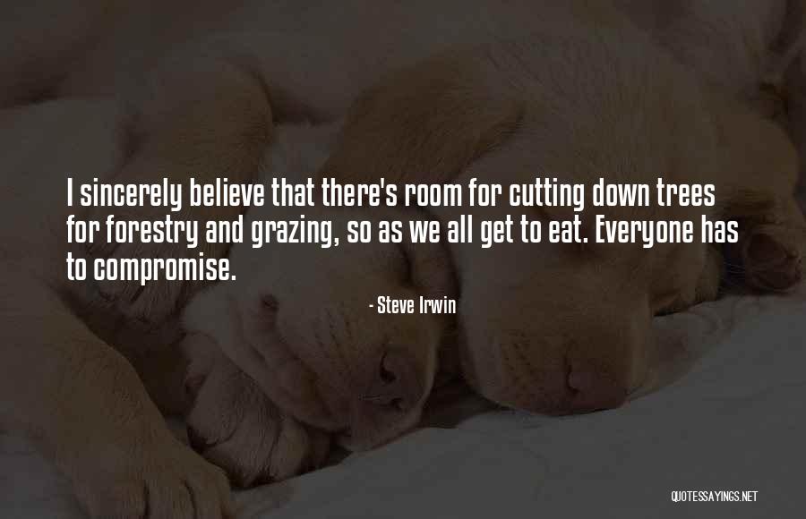 Husillos Quotes By Steve Irwin Husillos Quotes By Steve Irwin