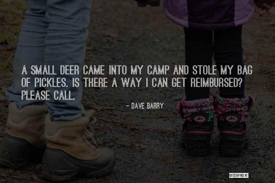 Husky Love Quotes By Dave Barry Husky Love Quotes By Dave Barry