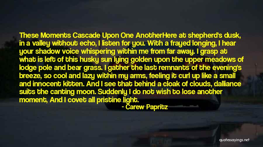 Husky Voice Quotes By Carew Papritz