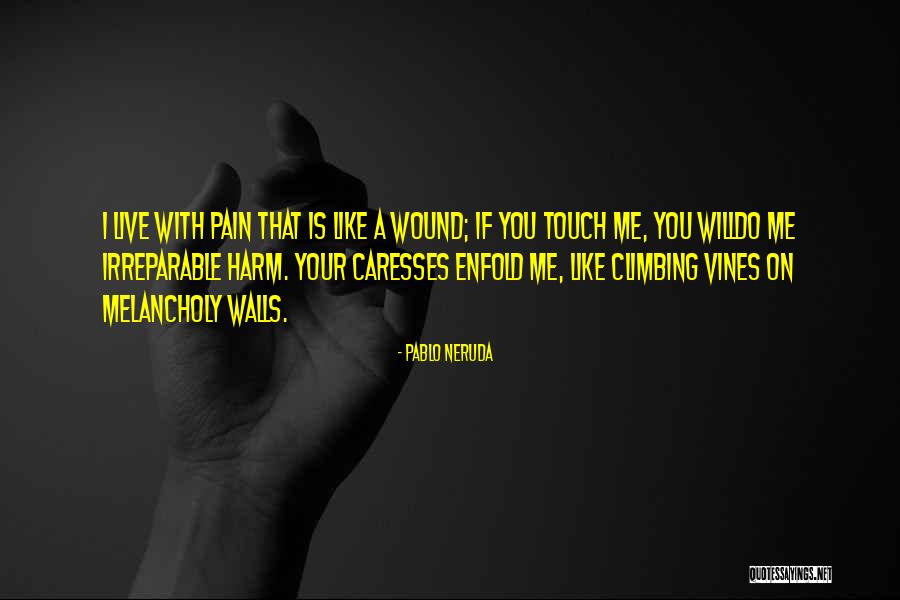 Hussar Grill Quotes By Pablo Neruda Hussar Grill Quotes By Pablo Neruda