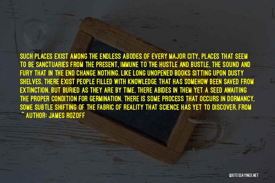 Hustle And Bustle Quotes By James Rozoff