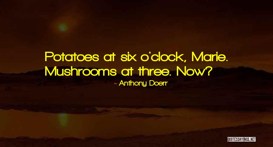 Hutchence Interview Quotes By Anthony Doerr