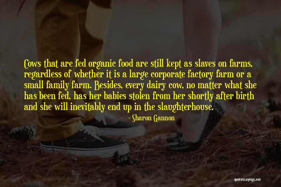 Hutchman Rd Quotes By Sharon Gannon