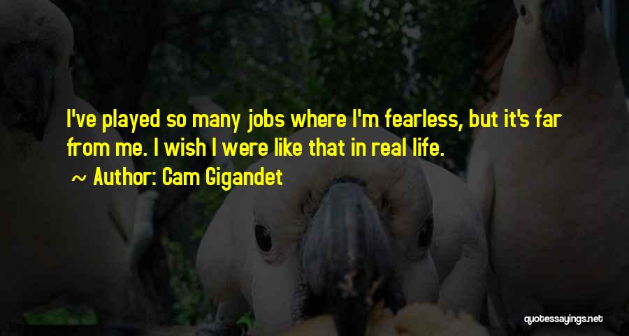 Huttleston Associates Quotes By Cam Gigandet