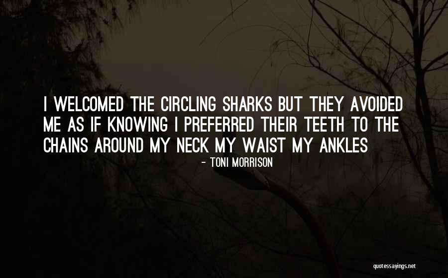 Huuhao Quotes By Toni Morrison Huuhao Quotes By Toni Morrison