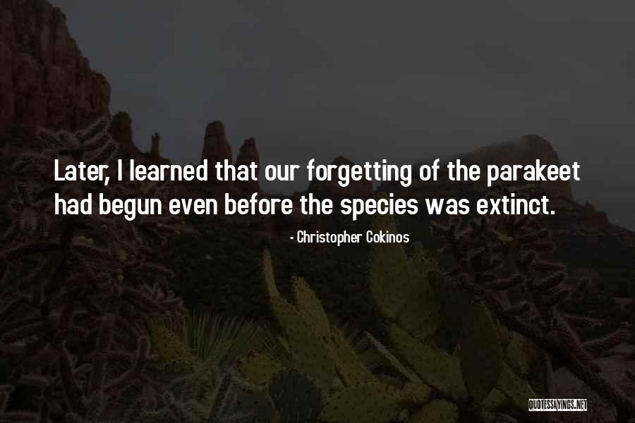 Huyosen Quotes By Christopher Cokinos Huyosen Quotes By Christopher Cokinos