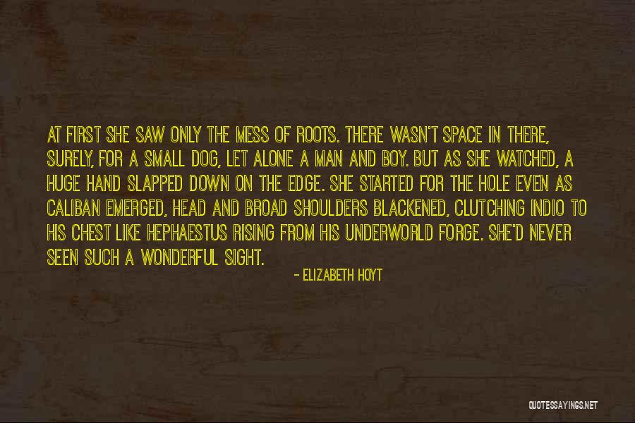 Hvergelmir Ragnarok Quotes By Elizabeth Hoyt Hvergelmir Ragnarok Quotes By Elizabeth Hoyt