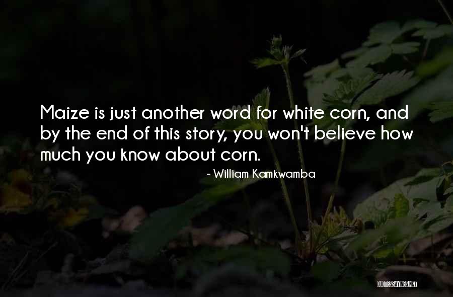 Hviid Advokater Quotes By William Kamkwamba Hviid Advokater Quotes By William Kamkwamba