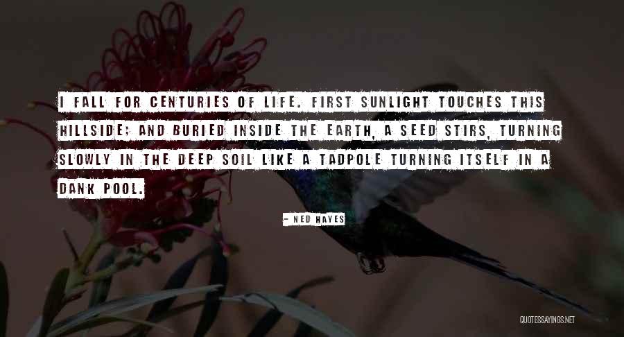 Hvistendahl Quotes By Ned Hayes Hvistendahl Quotes By Ned Hayes