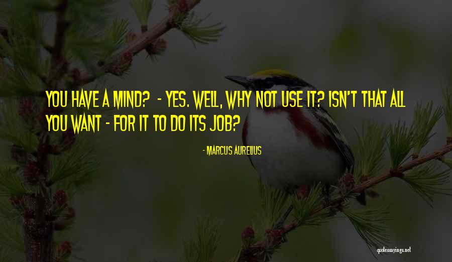 Hwa Rang Do Huntington Quotes By Marcus Aurelius Hwa Rang Do Huntington Quotes By Marcus Aurelius
