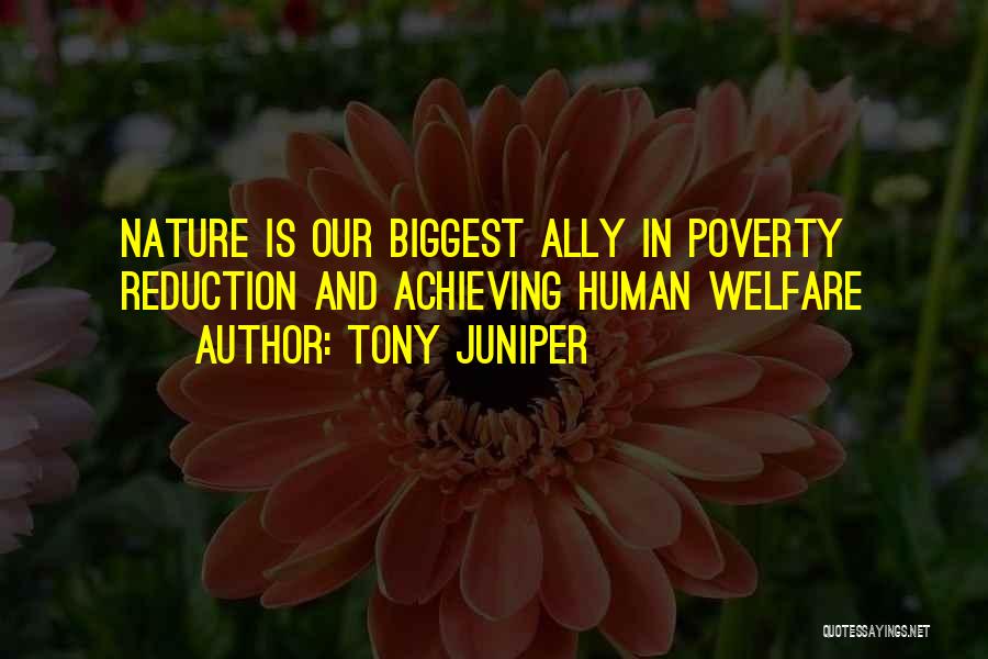 Hy Averback Quotes By Tony Juniper