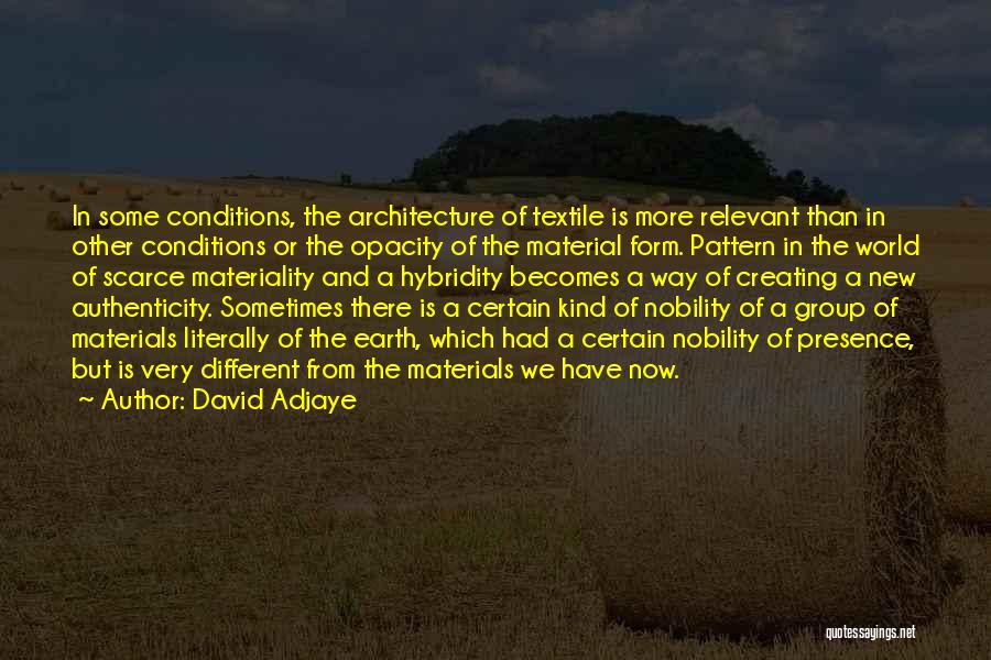 Hybridity Quotes By David Adjaye