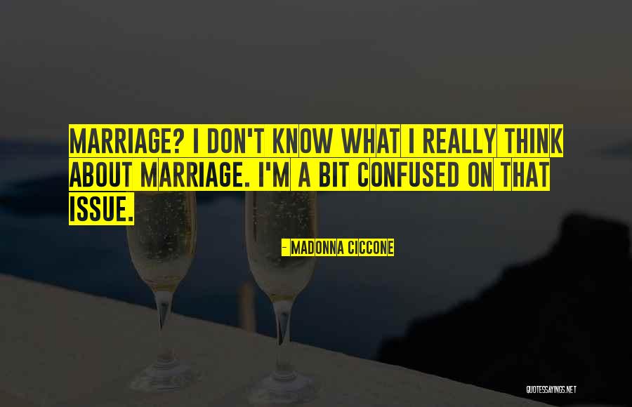 Hybris Quotes By Madonna Ciccone Hybris Quotes By Madonna Ciccone