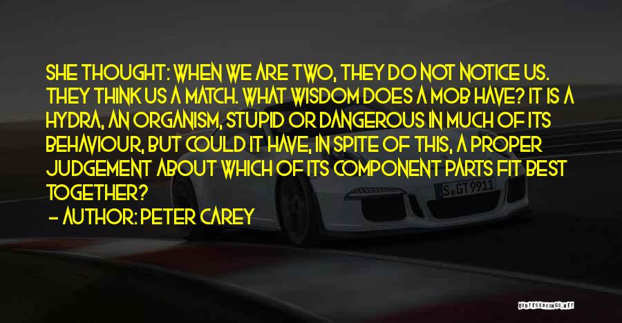 Hydra Quotes By Peter Carey