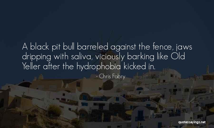 Hydrophobia Quotes By Chris Fabry