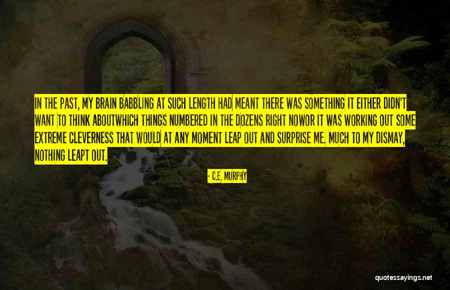 Hyper Brain Quotes By C.E. Murphy Hyper Brain Quotes By C.E. Murphy