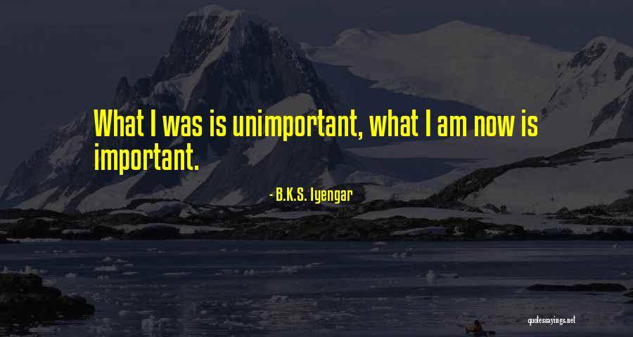Hyper Instruments Names Quotes By B.K.S. Iyengar Hyper Instruments Names Quotes By B.K.S. Iyengar