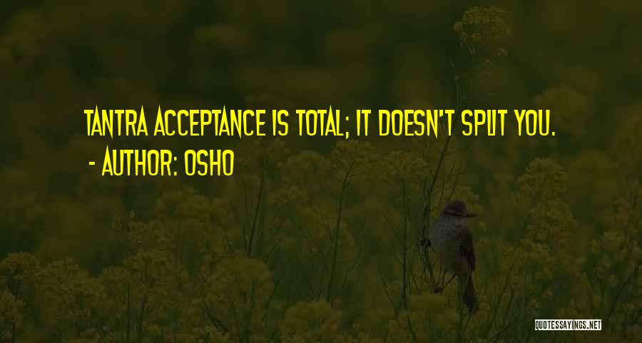 Hyperacquisitive Quotes By Osho