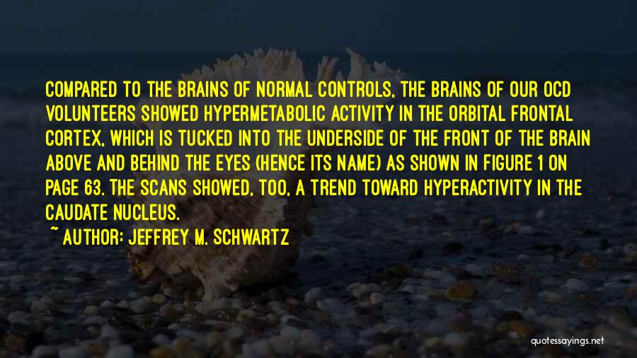 Hyperactivity Quotes By Jeffrey M. Schwartz