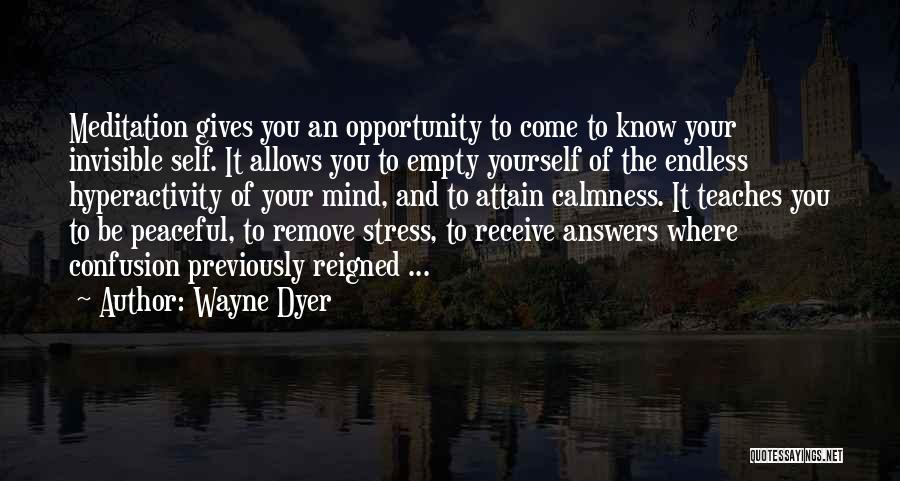 Hyperactivity Quotes By Wayne Dyer