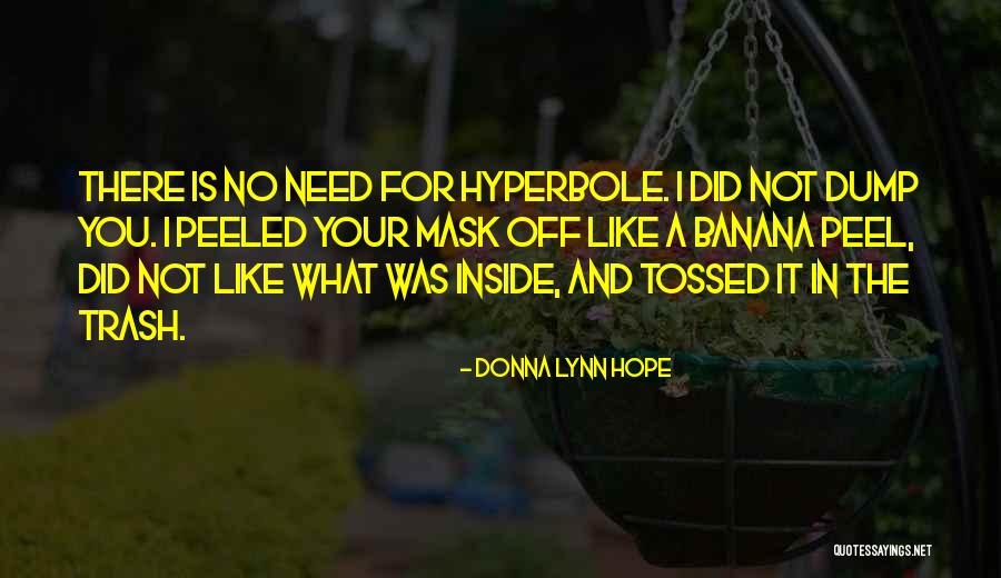 Hyperbole Quotes By Donna Lynn Hope Hyperbole Quotes By Donna Lynn Hope