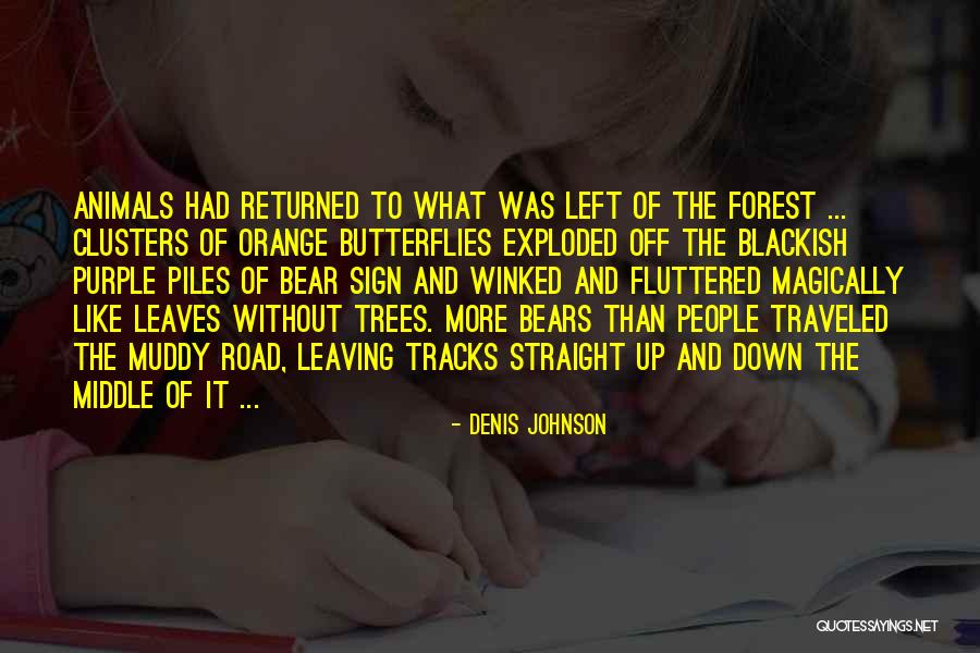 Hyperbolic Curve Quotes By Denis Johnson Hyperbolic Curve Quotes By Denis Johnson