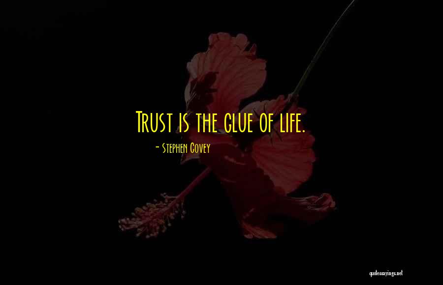 Hyperbolic Love Quotes By Stephen Covey Hyperbolic Love Quotes By Stephen Covey